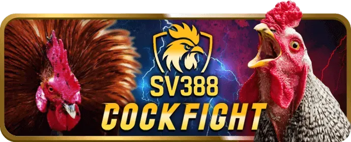 Hướng dẫn tải e2betvip code cho Android